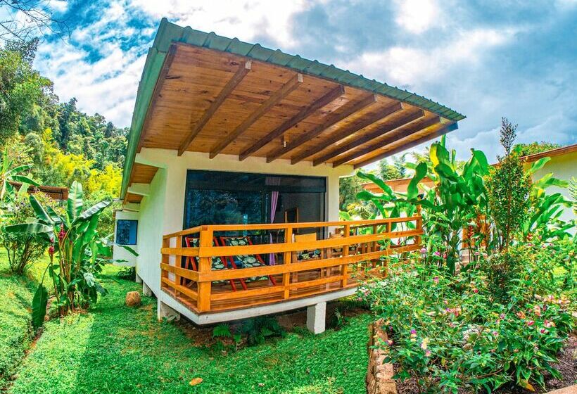 Хижина Deluxe, Las Terrazas De Dana Boutique Lodge & Spa