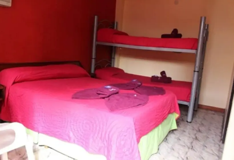 اتاق استاندارد چهار تخته, Hostel & Posada Noelia
