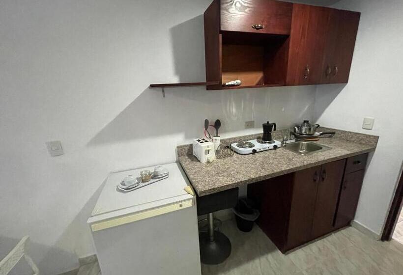 استودیوی استاندارد, Real Bella Vista