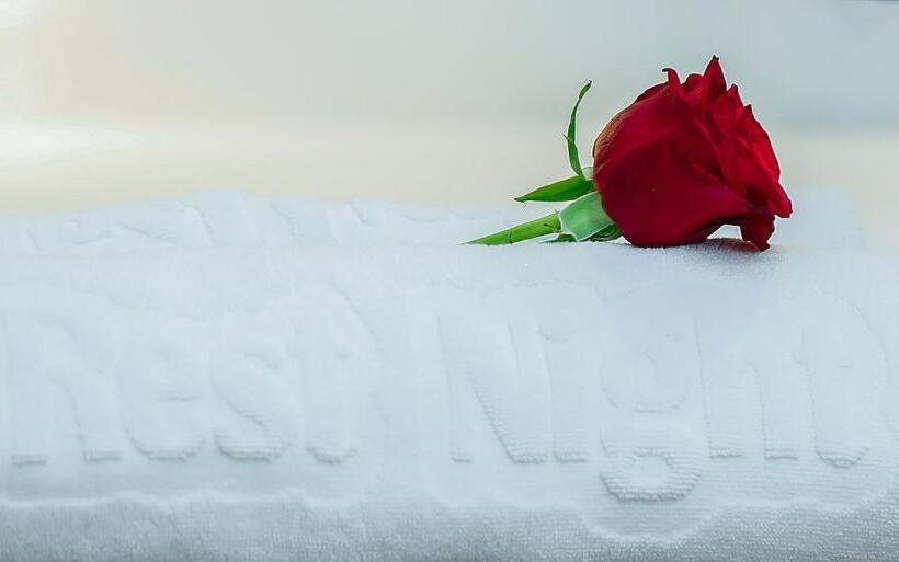 スイート, Rest Night Hotel Serviced Apartments Alhamra