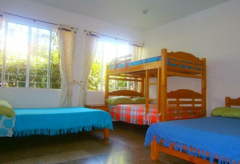 스탠다드 룸, Campestre La Vega Inn