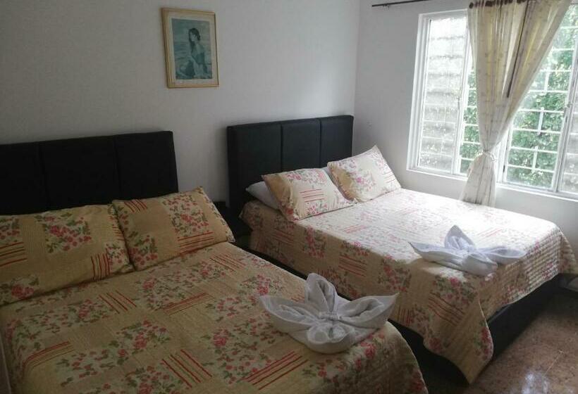 4인용 스탠다드 룸, Campestre La Vega Inn