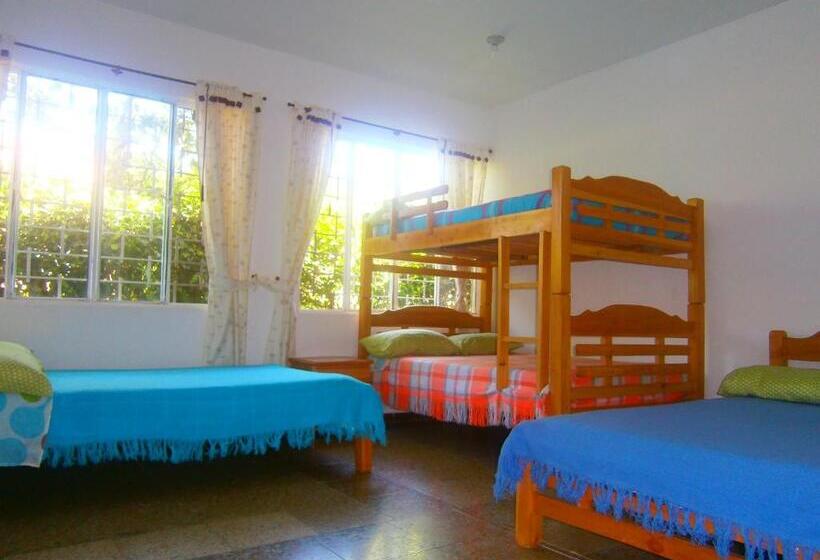 패밀리 룸, Campestre La Vega Inn