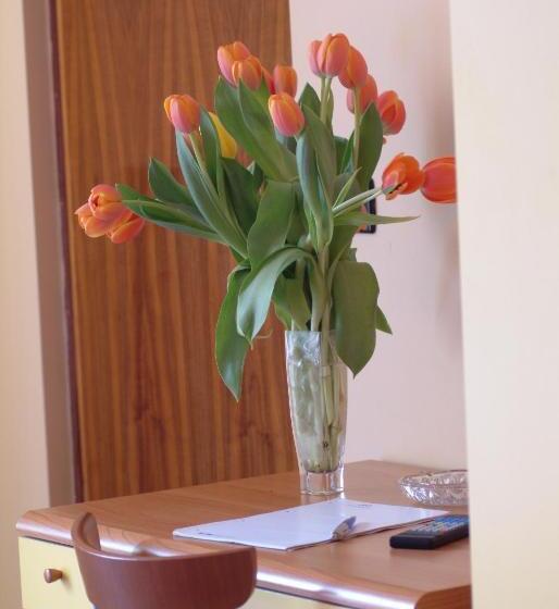 اتاق استاندارد با سرویس بهداشتی مشترک, San Geminiano