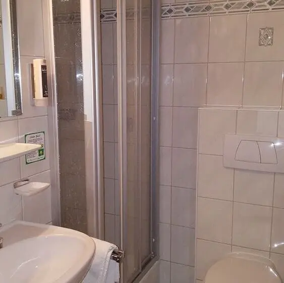 Standard Yhden Hengen Huone, Theresia