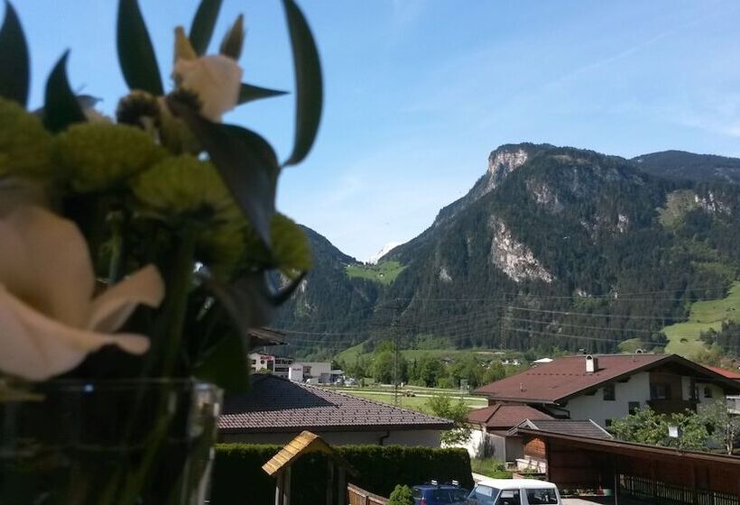 Номер Стандарт Трехместный, Theresia