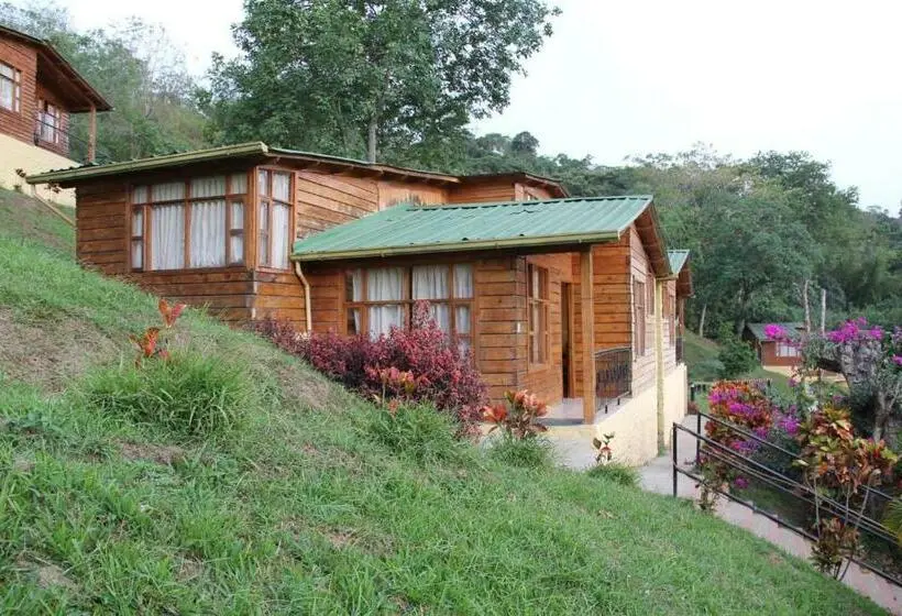 家族用バンガロー, Villeta Resort
