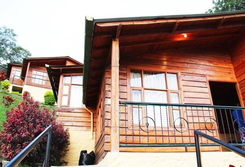 بنجلو عائلى, Villeta Resort