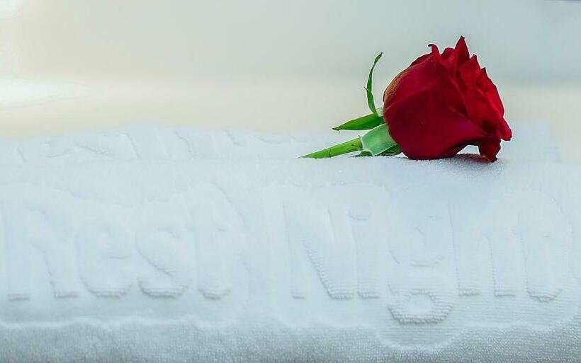 スタンダードシングルルーム, Rest Night Hotel Serviced Apartments Alhamra