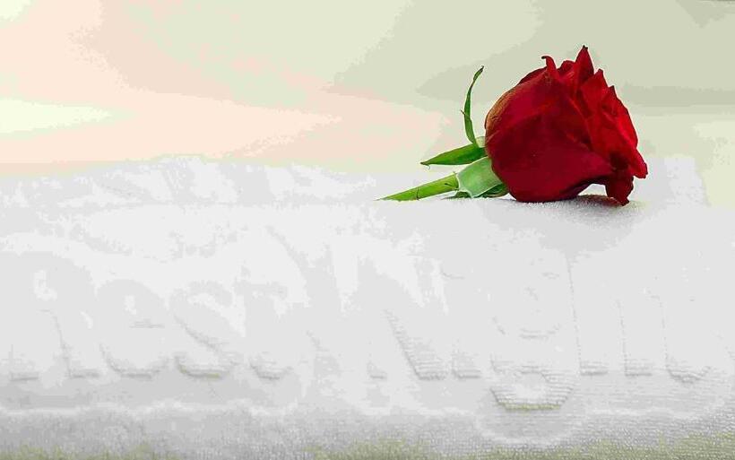 プレジデントスイートルーム, Rest Night Hotel Serviced Apartments Alhamra