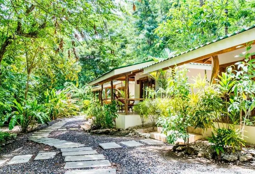 Standard-bungalow Puutarhanäkymä, Makanas Beach Bungalows