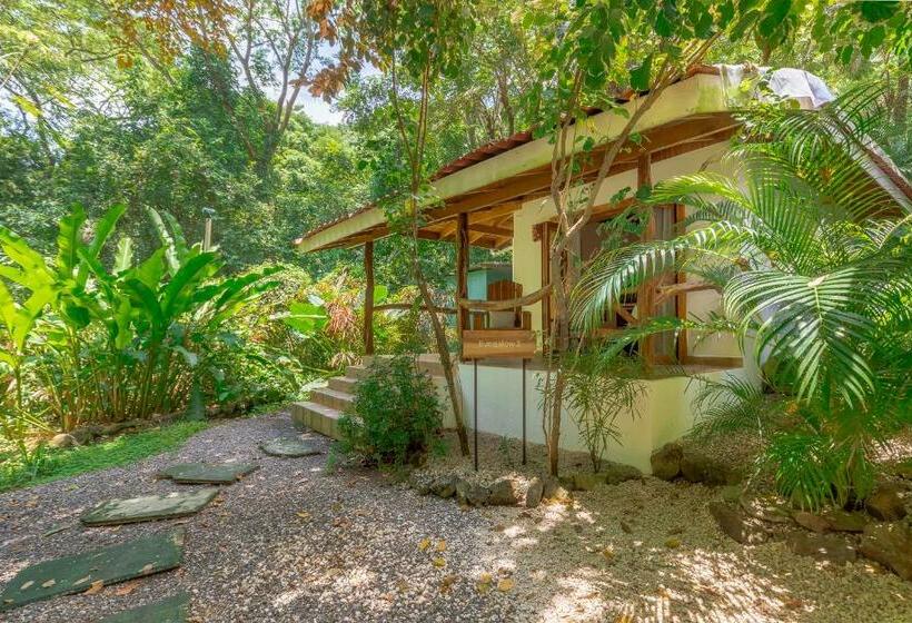 Бунгало Стандарт Вид на Сад, Makanas Beach Bungalows
