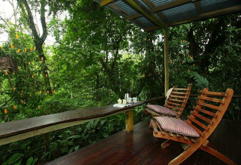 Номер Стандарт, Casa Rio Blanco Eco Friendly B&b