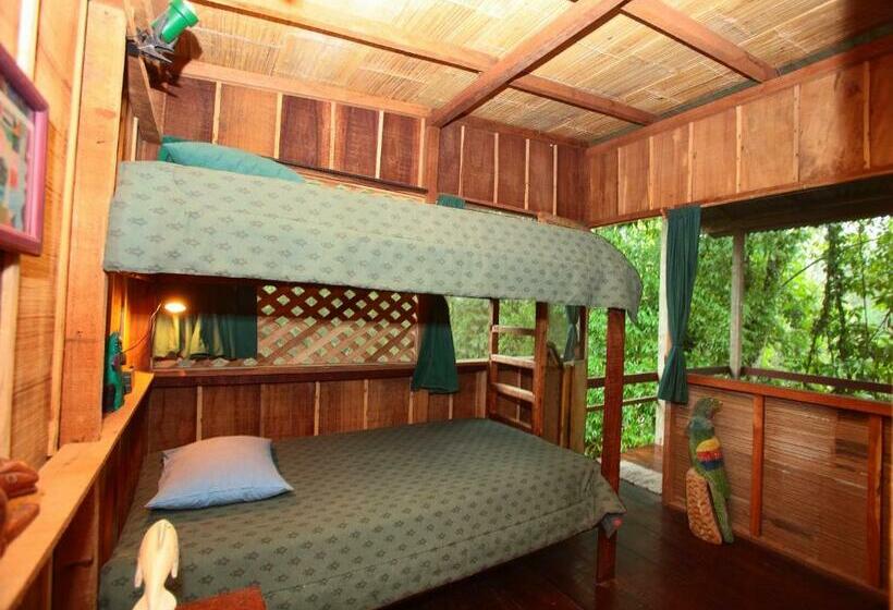 4인용 스탠다드 룸, Casa Rio Blanco Eco Friendly B&b