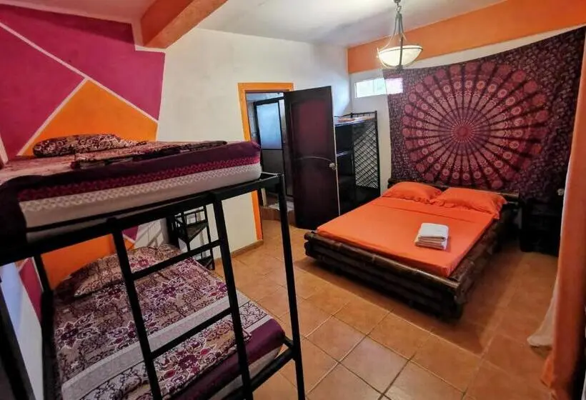 Standard-huone, Cool Vibes Beach Hostel