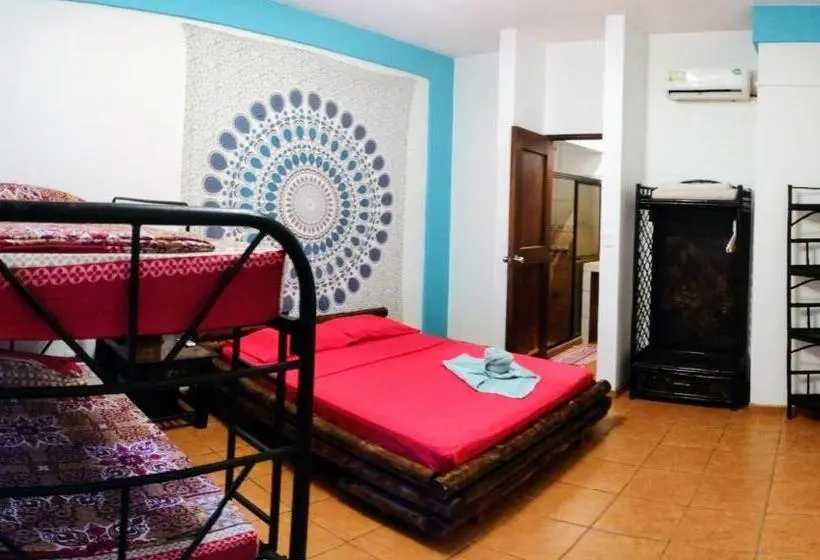 Superior-huone, Cool Vibes Beach Hostel