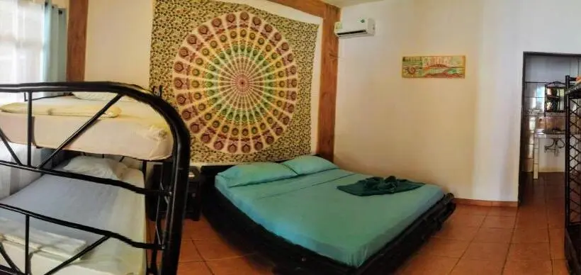 Superior-huone, Cool Vibes Beach Hostel