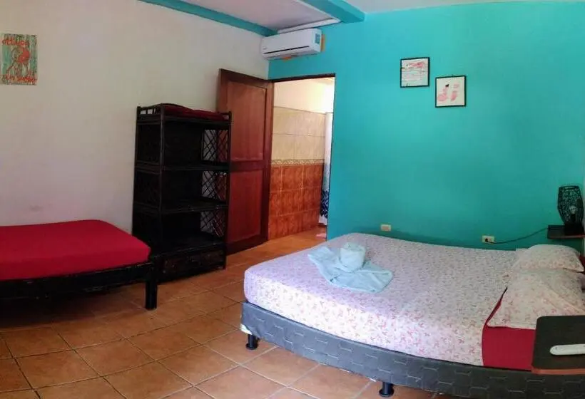 Superior-huone, Cool Vibes Beach Hostel