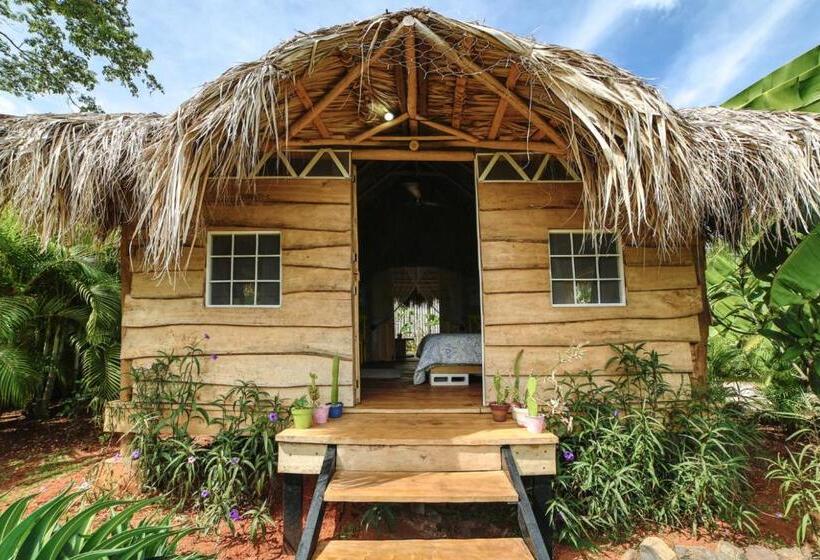 شاليه غرفة نوم واحدة, Glamping Hotel Flor Y Bambu
