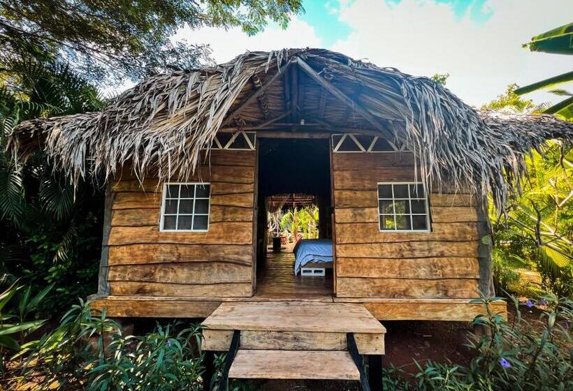 Шале 1 Спальня, Glamping Hotel Flor Y Bambu