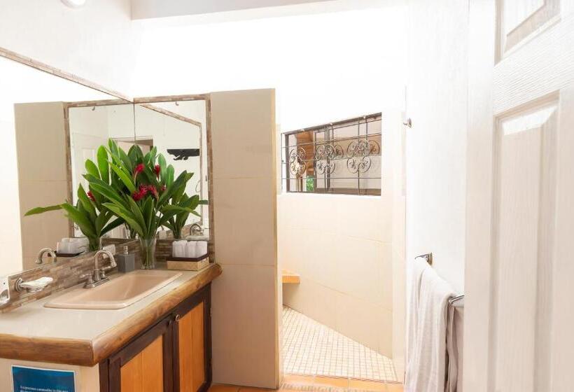 דירת חדר, Dreamcatcher Hotel   Atrapasueños