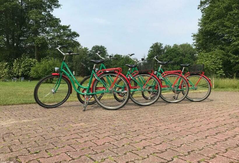 غرفة قياسية, Pension Willischza