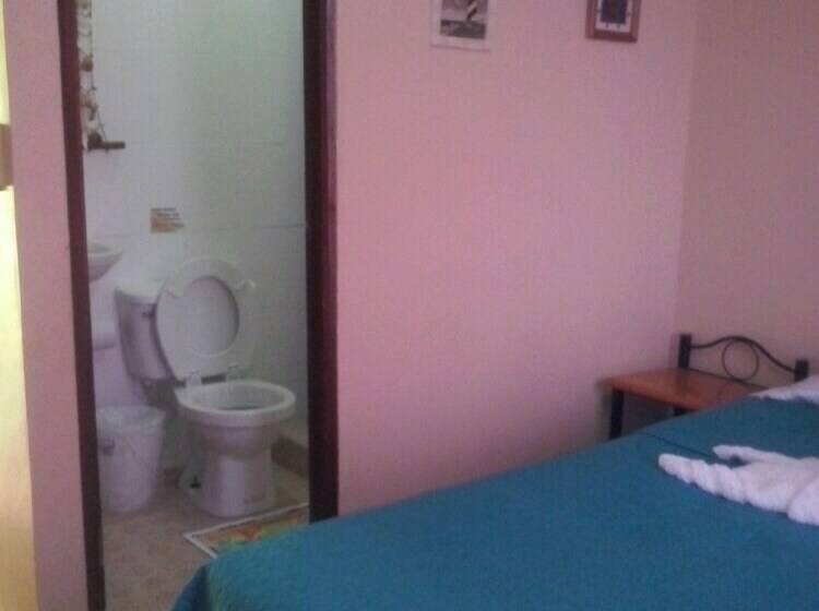 기본룸, Scubaportobello