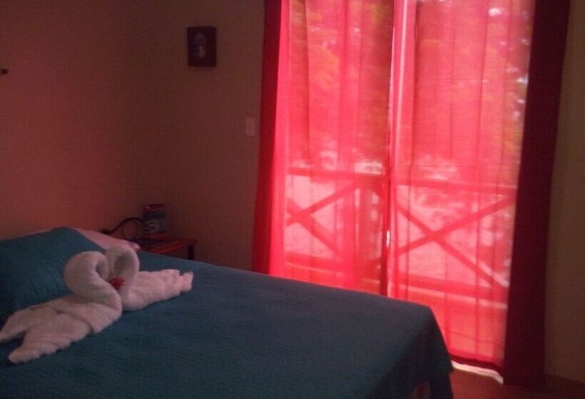 기본룸, Scubaportobello