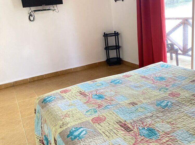 기본룸, Scubaportobello