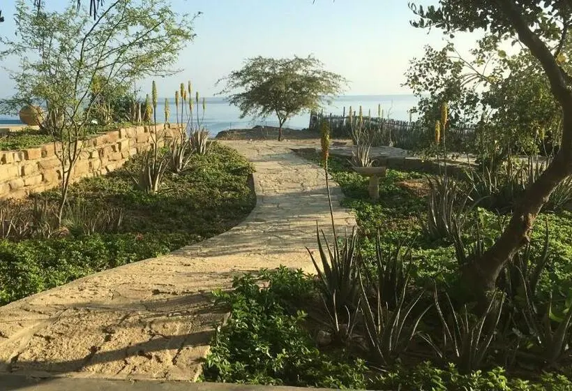Standard-bungalow, La Playa