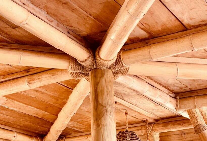 بانگلوی لوکس, La Playa