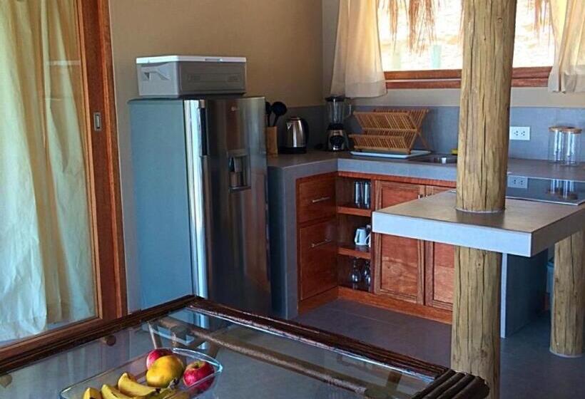 ویلای یک اتاق خوابه با استخر شنا, La Playa