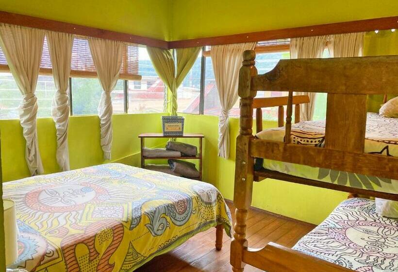 Economy Quadruple Room, Montaña Linda Hostel Orosi