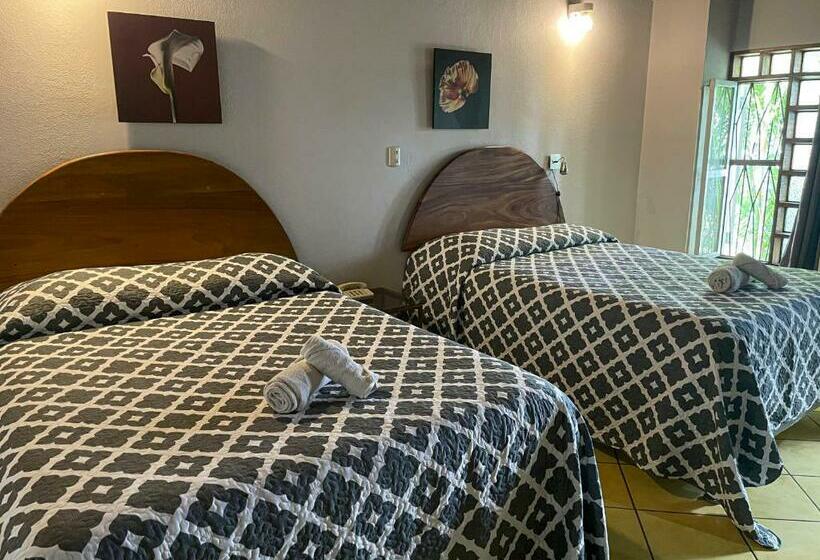 スーペリアの4人部屋, Ave Del Paraíso