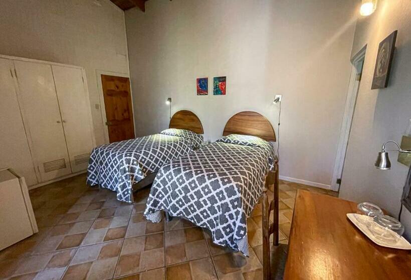 スタンダードルーム, Ave Del Paraíso