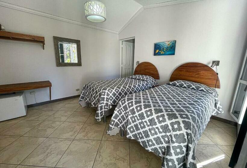 スタンダードルーム, Ave Del Paraíso