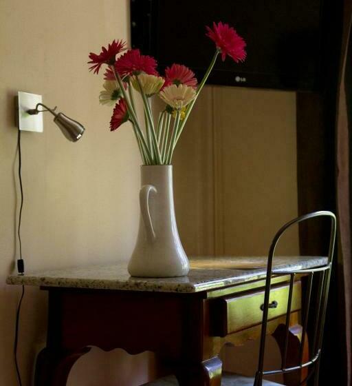 スタンダードルーム, Ave Del Paraíso