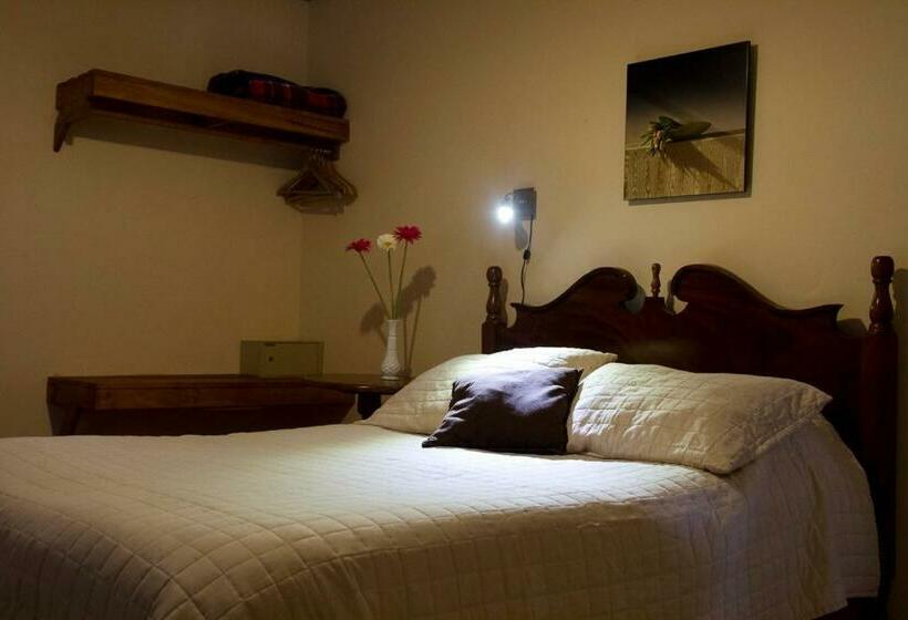 スタンダードルーム, Ave Del Paraíso