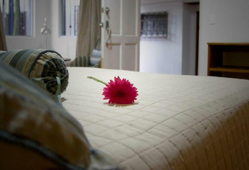 スタンダードルーム, Ave Del Paraíso