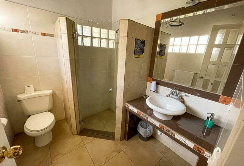 スタンダードルーム, Ave Del Paraíso