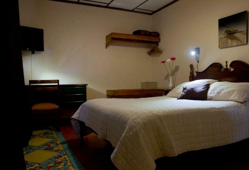 スタンダードルーム, Ave Del Paraíso