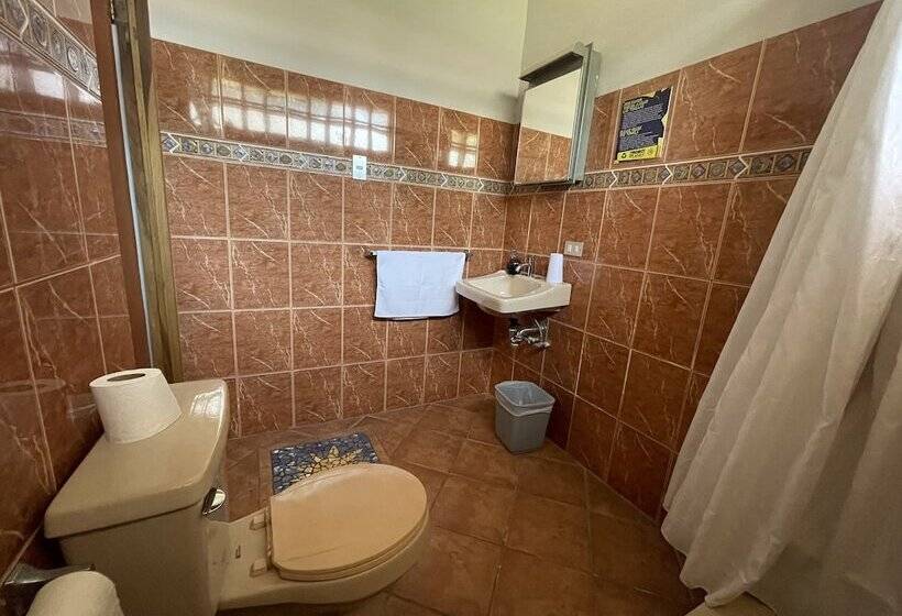 スタンダードルーム, Ave Del Paraíso