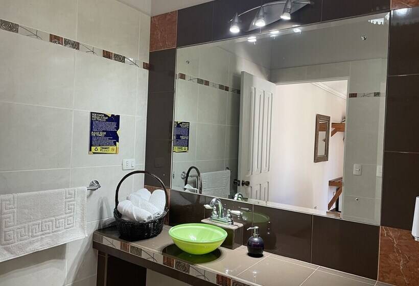 スタンダードルーム, Ave Del Paraíso