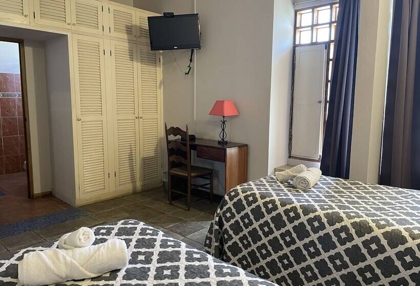 スタンダードルーム, Ave Del Paraíso