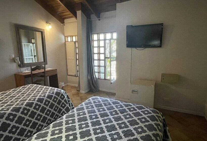 スタンダードルーム, Ave Del Paraíso