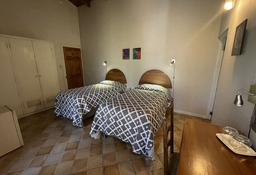 スタンダードルーム, Ave Del Paraíso