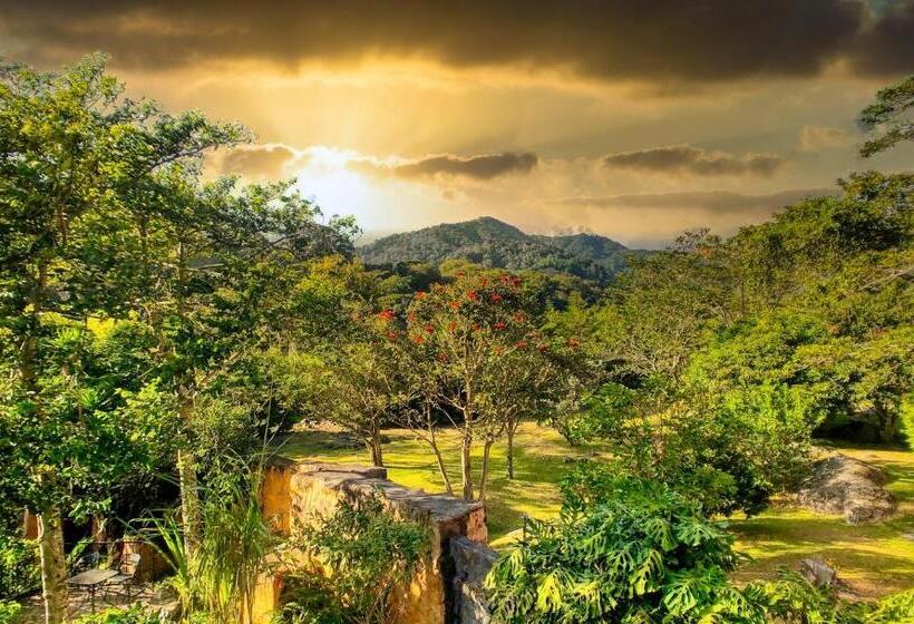 חדר דלוקס עם מרפסת טרסה, Boquete Garden Inn