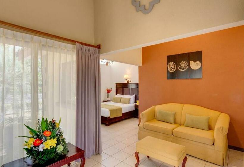 标准房带园景, Cc Beach Front Papagayo All Inclusive