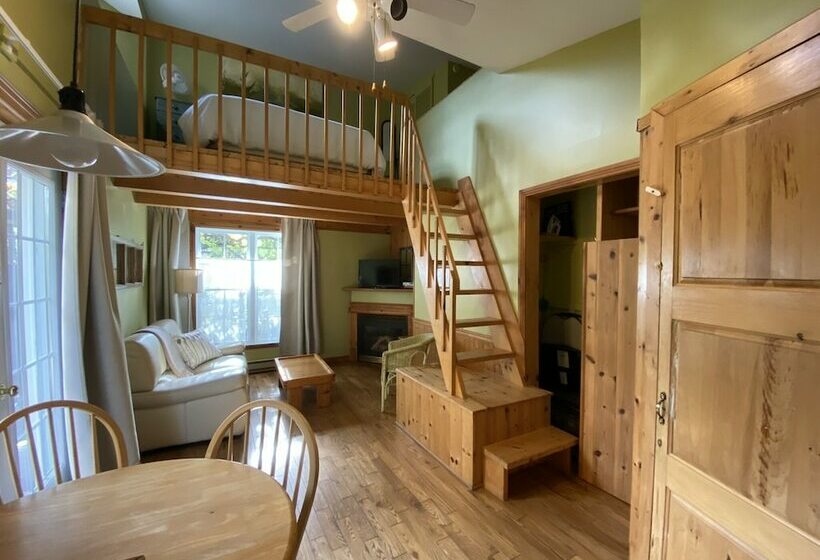 استودیوی استاندارد با تخت دوبل, Chalets & Studios Le Vent Du Nord