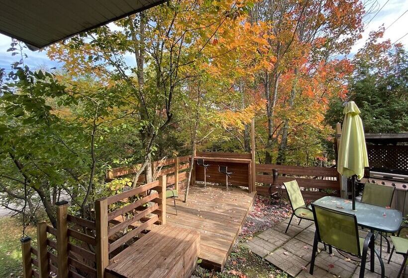 استودیوی استاندارد با تخت دوبل, Chalets & Studios Le Vent Du Nord